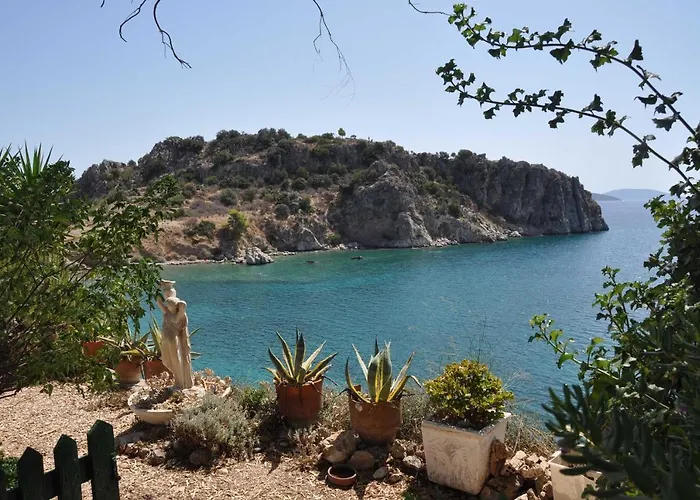 Lalezas Studios